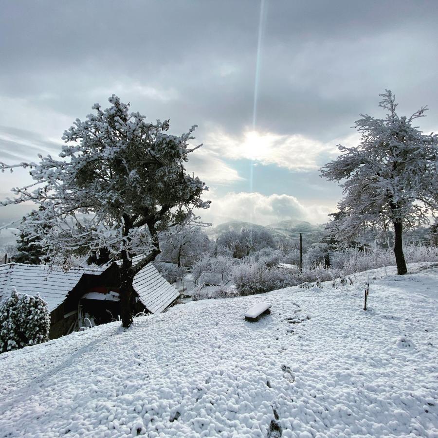 Libling Ruzovy ξενώνας Banská Štiavnica Εξωτερικό φωτογραφία