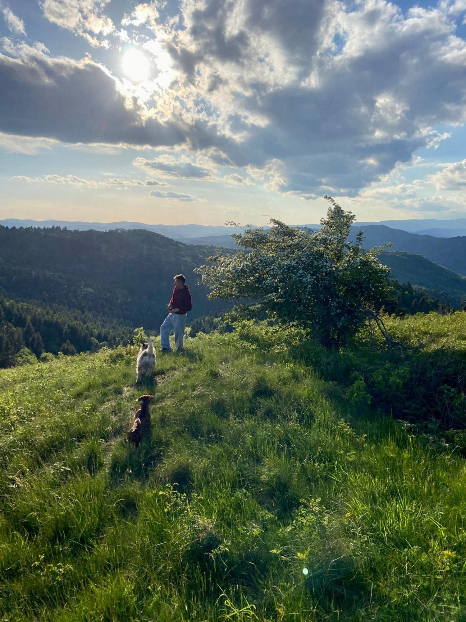 Libling Ruzovy ξενώνας Banská Štiavnica Εξωτερικό φωτογραφία